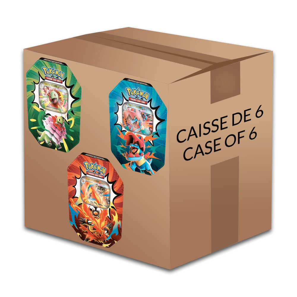 Pokémon - Mega Evolution Ascended Heroes - Tin Box