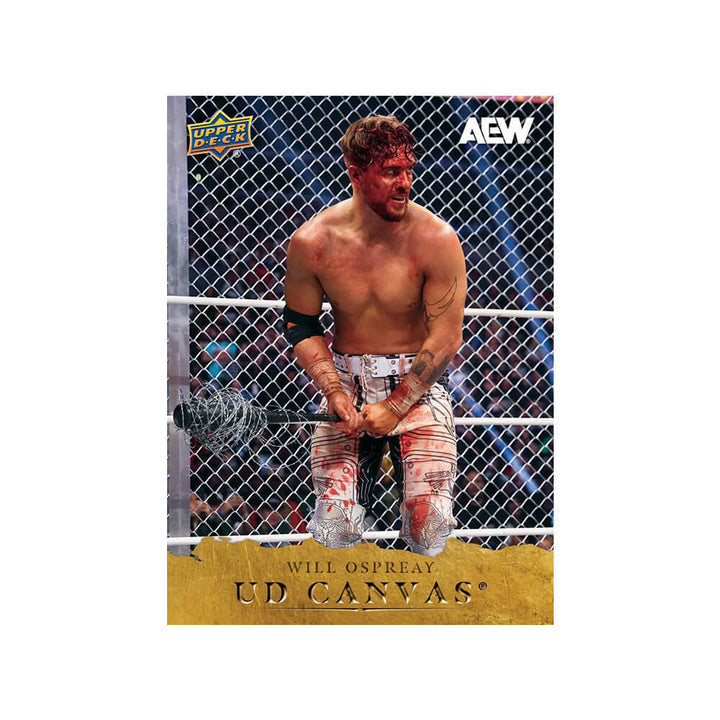 2026 Upper Deck AEW All Elite Wrestling Blaster Box